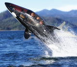 2019 The New Product :SeaBreacher- A Dolphin Inspired Jet Powered Watercraft Submarine Hybrid